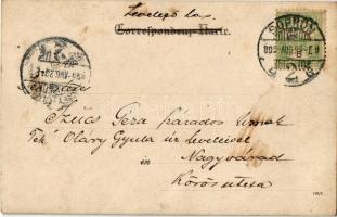 1905 Trieste, Trieszt; Lloyd Palace. photo