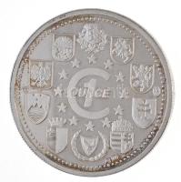 ~2004. "Dober dan Evropa! - Tromostvoje - Slowenije" jelzett Ag emlékérem (31,16g/0.999/40...