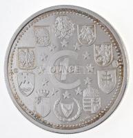 ~2004. "Witaj Europol - Zamek Krolewski - Polska" jelzett Ag emlékérem (31,08g/0.999/40mm)...