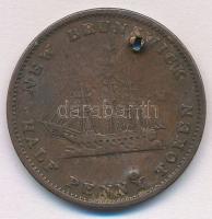 Kanada / Új-Brunswick 1843. 1/2p Cu "Viktória" T:3 ly.,ü. Canada / New Brunswick 1843. 1/2...