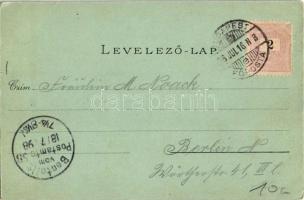 1898 (Vorläufer!) Budapest I. Buda, Királyi várpalota. Ottmar Zieher litho  (kis szakadás / small te...