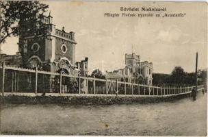 1913 Miskolc, Pfliegler Fivérek nyaralói az Avastetőn, Aranka nyaraló, villák