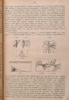 1892 Találmányok leírása. X. kötet. 1-12. sz.Kiadja: a Kereskedelmi Magyar Kir. Ministerium. Szerk.:...