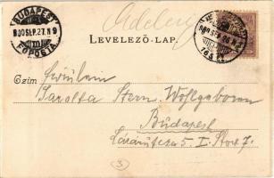 1900 Miskolc, Széchenyi utca, Grand Hotel Seper szálloda, Fonciere Pesti Biztosító Intézet fiókja, ü...