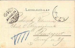 1902 Nyíregyháza, Sóstó fürdő, csónakázók, Júlia gőzmalom. Kiadja Piringer János