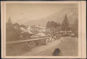 cca 1890 Lublófürdő (Felvidék), keményhátú fotó, jó állapotban, hátoldalon feliratozva, 11×16 cm