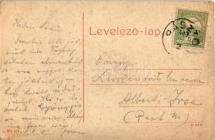 Pásztó, Fő utca, üzletek. W.L. (?) No. 971