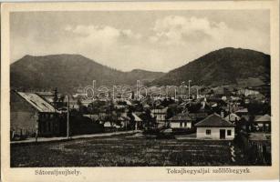 Sátoraljaújhely, Tokaj hegyaljai szőlőhegyek