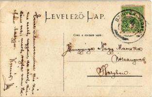 1907 Szinérváralja, Seini; augusztus 18-i ünnepély, II. Rákóczi Ferenc emlékére készített zászlóavat...