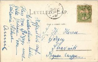 1906 Görgő, Szepesgörgő, Harchov, Spissky Hrhov; Görgey család birtoka, park, hölgy / castle park, l...