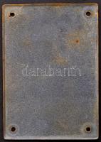 Bernd Wegner (The) Waffen SS. zománc tábla. Sérült. 12x17 cm