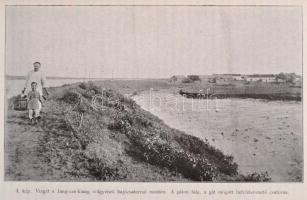 1899 Természettudományi Közlöny. Wartha Vince közreműködésével szerkesztik Csopey László és Paszlavs...