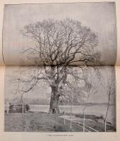 1897 Természettudományi Közlöny. Szily Kálmán közreműködésével szerkesztik Csopey László, Entz Józse...