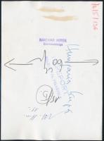 1973 A Hungária kupa, pecséttel jelzett sajtófotó, 13×18 cm