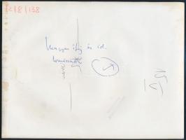 Magyar tornásznők, pecséttel jelzett sajtófotó, 24×18 cm