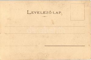 Az Országos Nemzeti Szövetség által az amerikai magyarok részére alapított nemzeti zászló, Zseni Józ...