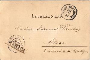 1904 Nagyszalonta, Salonta; Kornstein testvérek Pata-pusztája, mangalicák, Sonnenfeld A. kiadása. Ko...