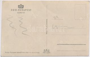 Budapest XIV. Zoo Állatkert, Szeretet, csimpánzok. Kiadja a Budapest székesfővárosi állat és növényk...