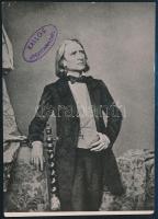 cca 1900 Liszt Ferenc 1845-ös fotójáról készült másolat Kallós gyűjteményi bélyegzővel 8x10 cm