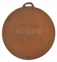 Stetka Gyula (1885-1925) / Gácsik Lajos (1905-1981) ~1920. "M. Kir. Budapesti 1. Honv. Vegyes-D...