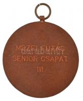 ~1930. "Budapest Székesfővárosi Levente Egyesületek / Mezei Futás Senior Csapat III." Br d...
