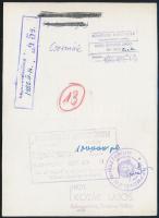 1955 Csermák József (1932-2001) olimpiai bajnok kalapácsvető, a hátoldalon feliratozott, pecséttel j...