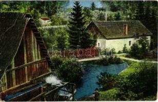 Rozsnyó, Roznava; Fürdői út, vízimalom. Kiadja Fuchs József / road to the spa, watermill (EB)