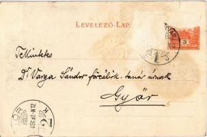 Kolozsvár, Cluj; Képek a kolozsvári Múzeum kertből (Mikó kert). Erdély páfrány világából, elöl a tör...