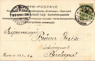 1902 Girl with hat. litho (EK)