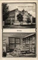 Kőszeg, Ferenc József katolikus főgimnázium, természetrajzi szertár, belső. Art Nouveau