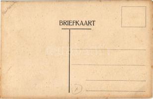 Hanen en Hennen van alle Landen ontlast u! Algemeen Kiesrecht / Humoros holland katonai lap tyúkkal ...