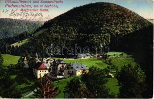 Puchenstuben, Höhenluftkurort und Sommerfrische a. d. Mariazeller Bahn / holiday resort, spa (EK)