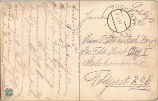 Puchenstuben, Höhenluftkurort und Sommerfrische a. d. Mariazeller Bahn / holiday resort, spa (EK)