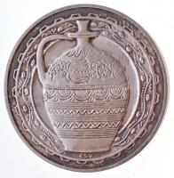 Csúcs Viktória (1934-1993) DN "Hódmezővásárhely Tanácsháza" jelzetlen Ag emlékérem (17,52g...