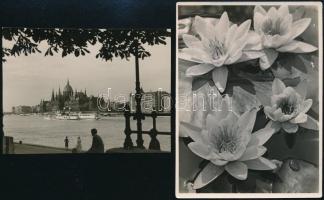 cca 1938 Dulovits Jenő (1903-1972) budapesti fotóművész hagyatékából 2 db vintage fotó, az egyik pecséttel jelzett 12x9 cm és 7,8x10,5 cm