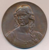 Berán Lajos (1882-1943) 1931. "Budapesti emlék" Br emlékérem (79mm) T:2