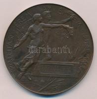 Beck Ötvös Fülöp (1873-1945) 1896. "1896-iki Ezredéves Országos Kiállítás / Közreműködők Érme&q...