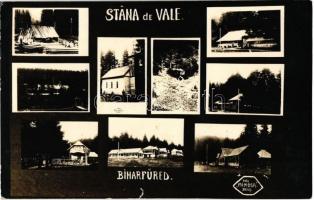 1929 Biharfüred, Stana de Vale; fűrésztelep, fürdő / sawmill, spa, bathing house. Mimosa photo