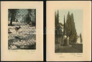 cca 1930 Színezett, aláírt fotóművészeti alkotások, 3 db vintage fotó, képméret 12x8 cm, fotópapír 17x12 cm