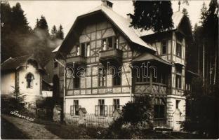Tusnádfürdő, Baile Tusnad; Pension Villa Elsa / Elza villa / villa. Adler Oscar photo (ragasztónyom / glue mark)