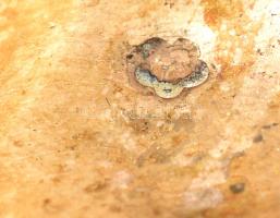 Ezüst (Ag.) hólyagos szélű tálca, jelzett, mesterjeggyel, 30×13 cm, karcolás nyomokkal, nettó:182 g