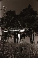 cca 1966 Naturista mozdulatművész, 3 db vintage negatív, 24x36 mm