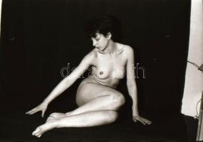 cca 1977 Kontaktok, szolidan erotikus felvételek, 13 db vintage negatív + az ezekről készült 13 db v...