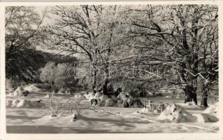 1937 Bánkút (Nagyvisnyó), tél. photo