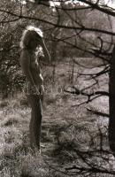 cca 1983 A természet szeretete, szolidan erotikus felvételek, 13 db vintage negatív + 1 db mai nagyí...