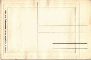 Nagybánya, Baia Mare; Parcul Regina Maria. Libraria si Tipografia Aladar Frankovits / park. photo (á...