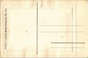 Nagybánya, Baia Mare; Parcul Regina Maria. Libraria si Tipografia Aladar Frankovits / park. photo (á...