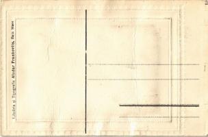 Nagybánya, Baia Mare; Pilsa. Libraria si Tipografia Aladar Frankovits / téli kép, patak télen / wint...