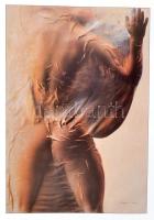 Méhes László 2 db művészeti katalógusa. Bp., 1999, Műcsarnok. Kiadói papírkötésben