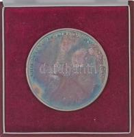 Csóka Zsuzsa (1962-) 2002. "Tessedik Sámuel Főiskola" ezüstözött fém emlékérem, hátoldalán...